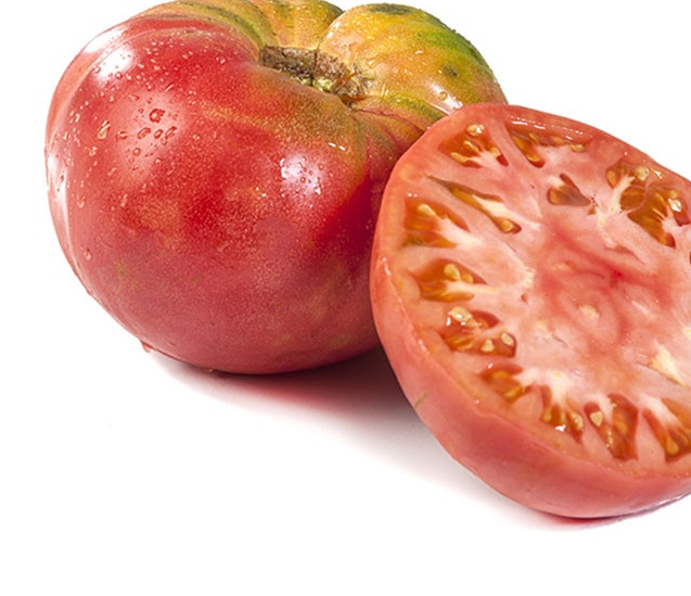 Tomate principal