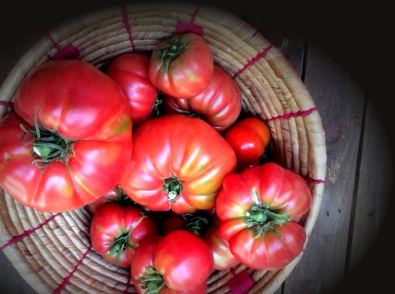 Tomates cesta