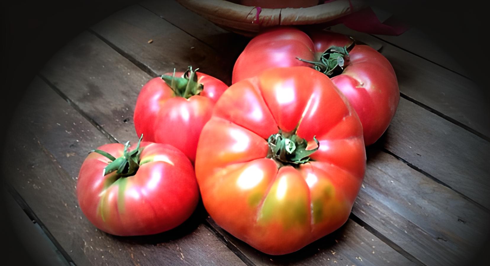 tomate mesa